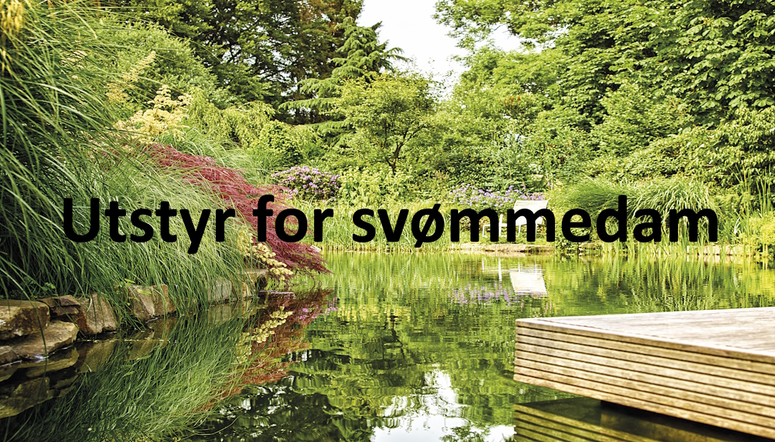 Svømmedam